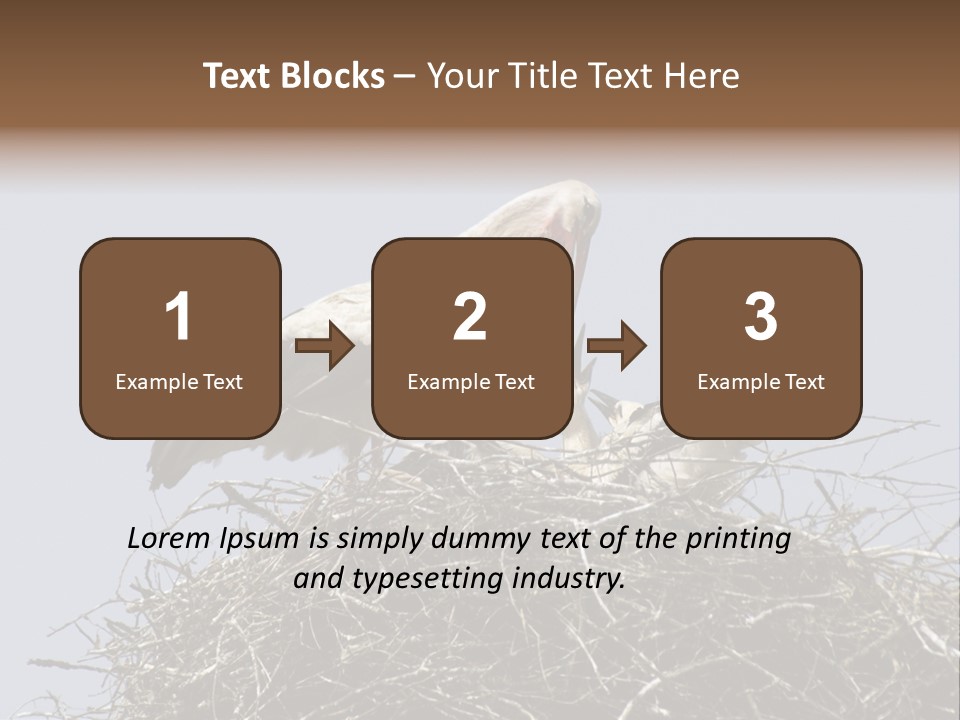Many Playgroup Care PowerPoint Template