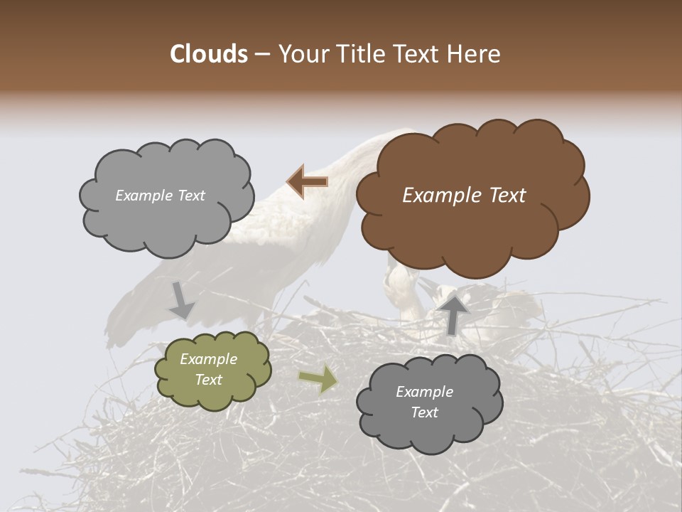Many Playgroup Care PowerPoint Template