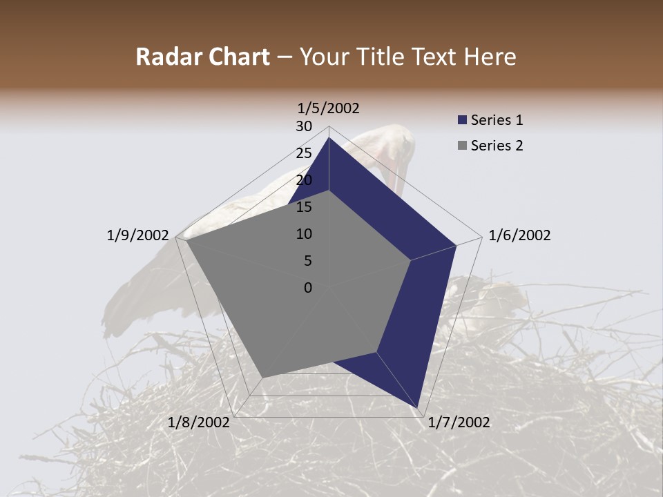 Many Playgroup Care PowerPoint Template