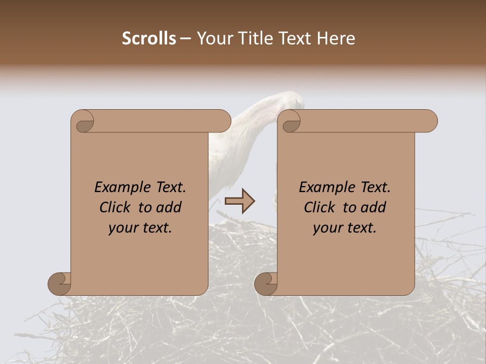 Many Playgroup Care PowerPoint Template