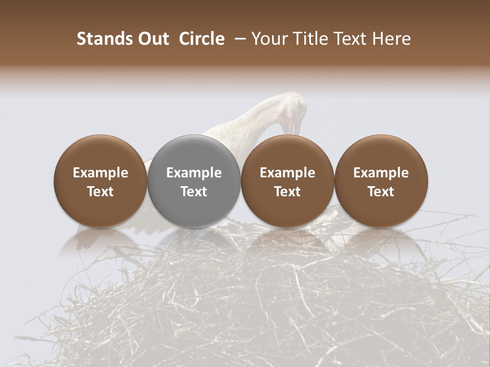 Many Playgroup Care PowerPoint Template