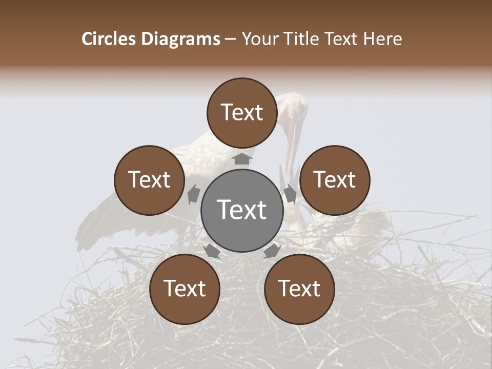 Many Playgroup Care PowerPoint Template