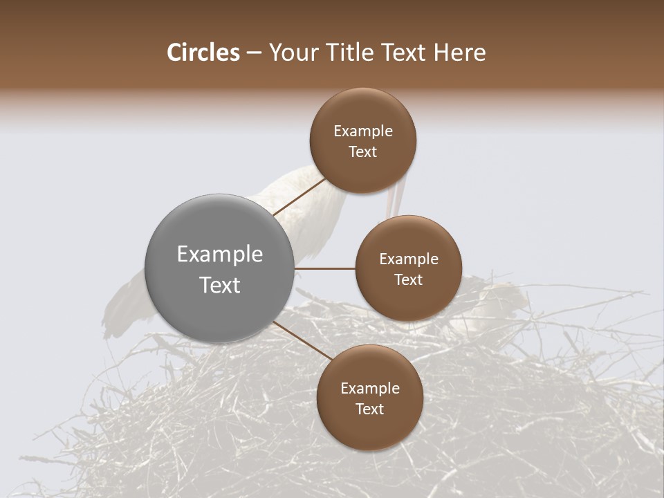 Many Playgroup Care PowerPoint Template