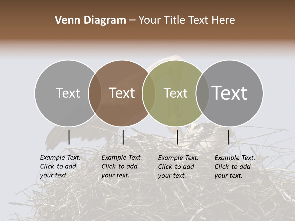 Many Playgroup Care PowerPoint Template