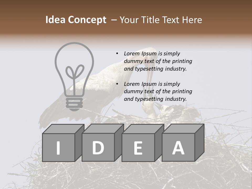 Many Playgroup Care PowerPoint Template