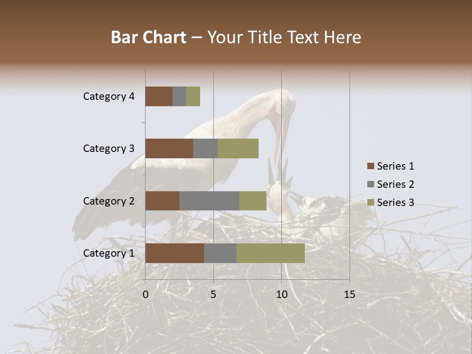 Many Playgroup Care PowerPoint Template