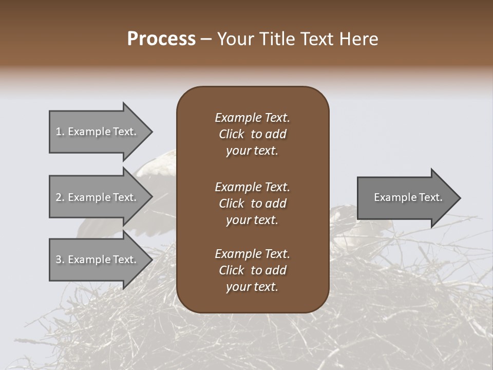 Many Playgroup Care PowerPoint Template