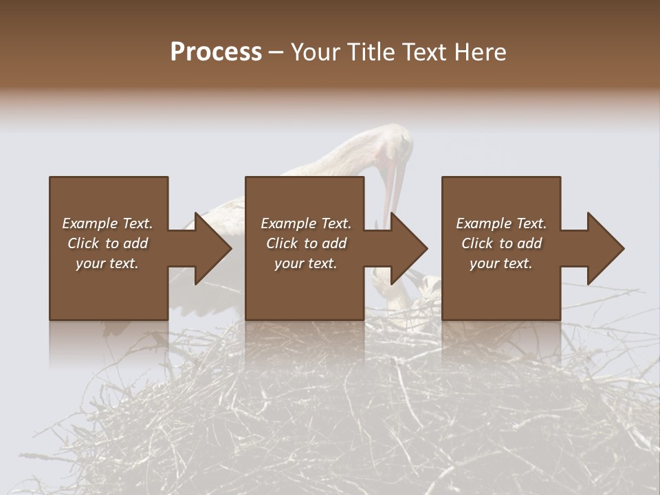 Many Playgroup Care PowerPoint Template