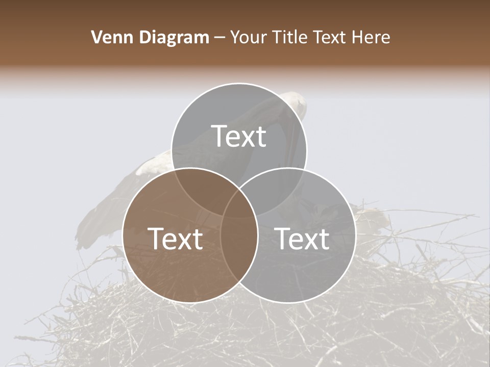 Many Playgroup Care PowerPoint Template