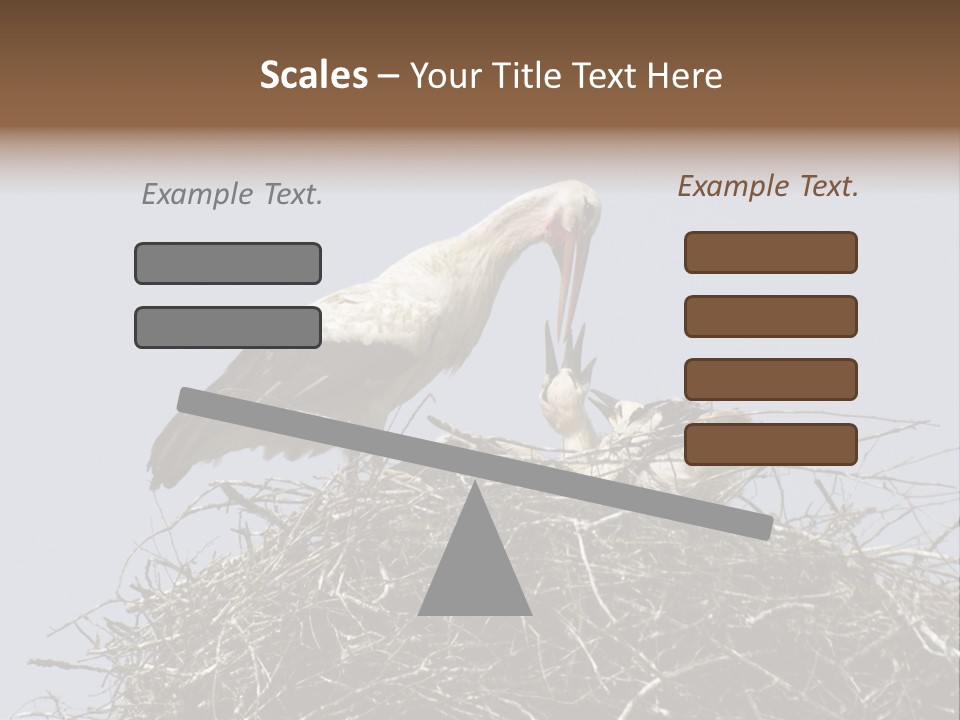 Many Playgroup Care PowerPoint Template