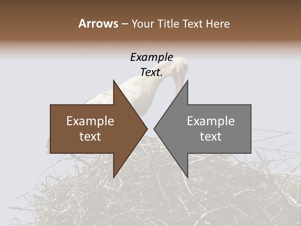 Many Playgroup Care PowerPoint Template