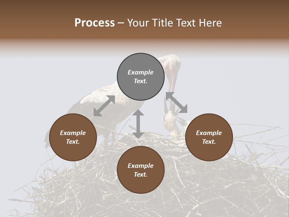 Many Playgroup Care PowerPoint Template