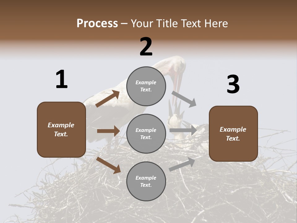 Many Playgroup Care PowerPoint Template