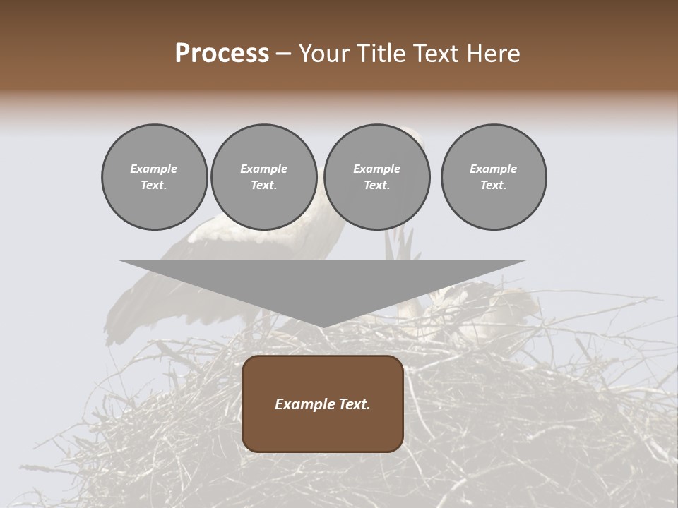 Many Playgroup Care PowerPoint Template