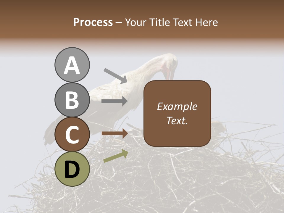 Many Playgroup Care PowerPoint Template