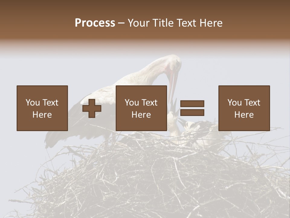 Many Playgroup Care PowerPoint Template