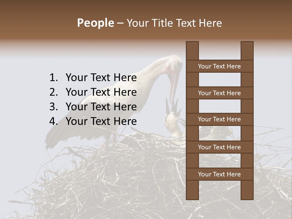 Many Playgroup Care PowerPoint Template