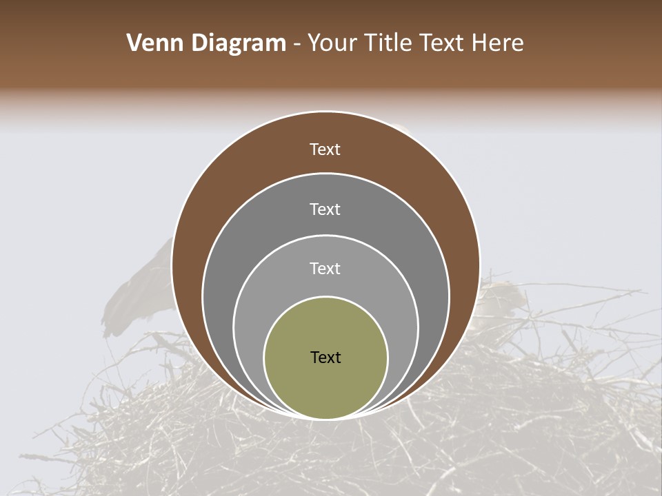 Many Playgroup Care PowerPoint Template