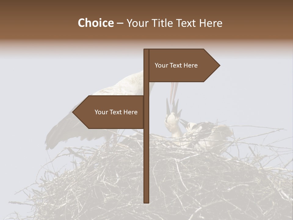 Many Playgroup Care PowerPoint Template