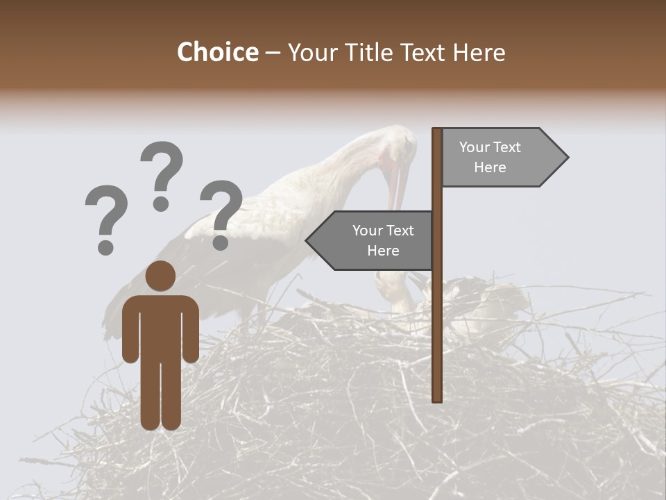 Many Playgroup Care PowerPoint Template