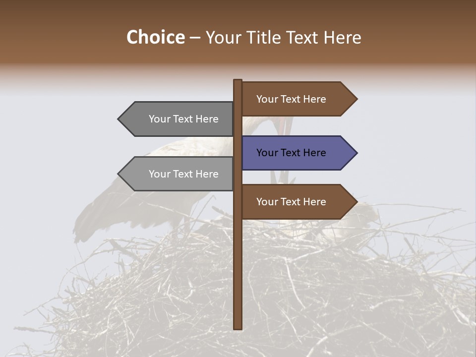 Many Playgroup Care PowerPoint Template