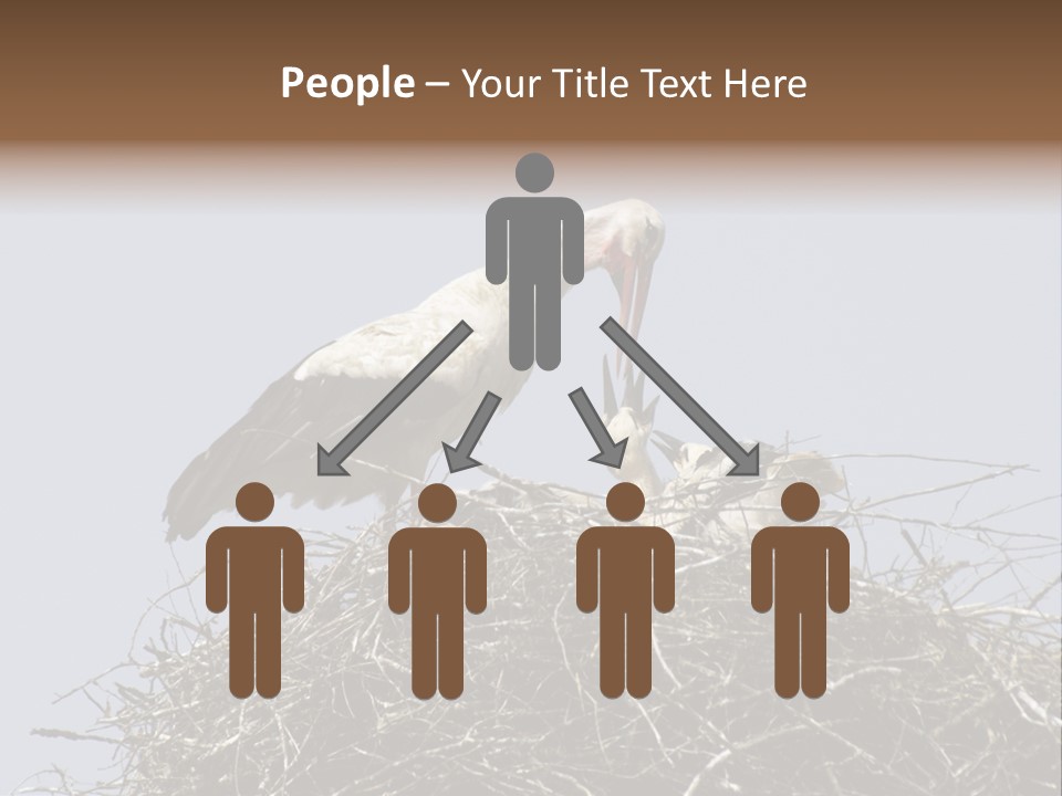 Many Playgroup Care PowerPoint Template