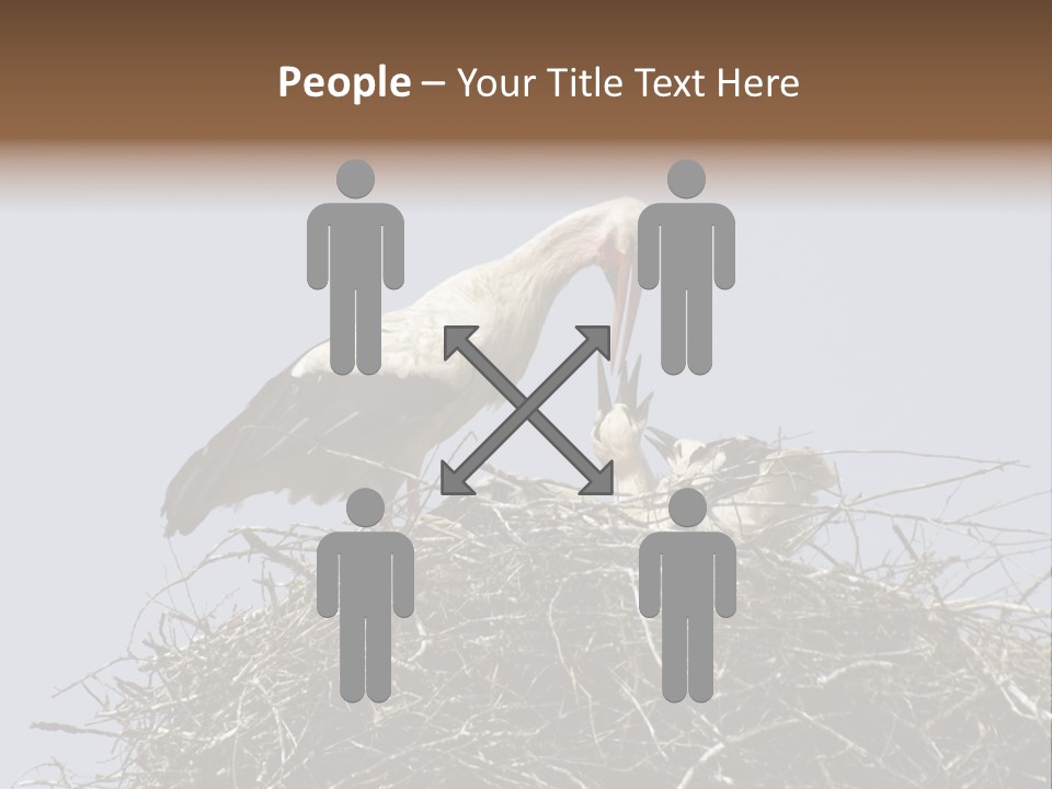 Many Playgroup Care PowerPoint Template