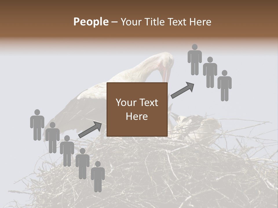 Many Playgroup Care PowerPoint Template