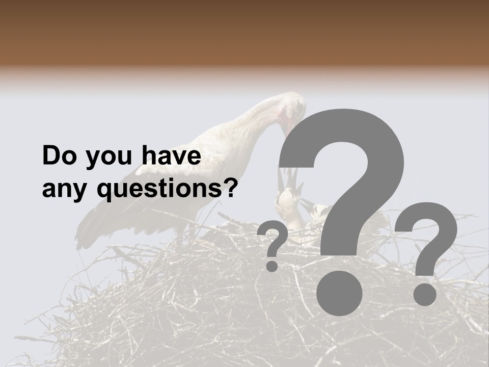 Many Playgroup Care PowerPoint Template