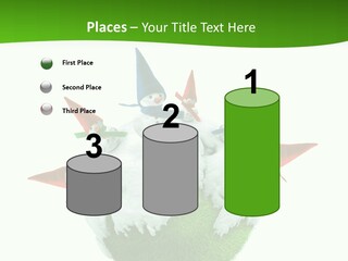 Man Handsome Costume PowerPoint Template