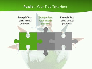 Man Handsome Costume PowerPoint Template