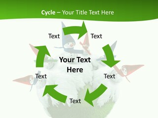 Man Handsome Costume PowerPoint Template