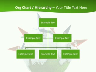 Man Handsome Costume PowerPoint Template
