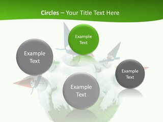 Man Handsome Costume PowerPoint Template