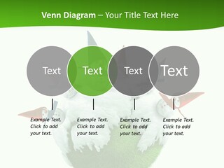 Man Handsome Costume PowerPoint Template