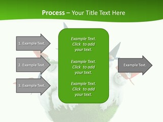 Man Handsome Costume PowerPoint Template