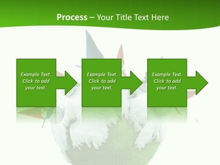 Man Handsome Costume PowerPoint Template