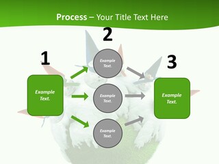 Man Handsome Costume PowerPoint Template