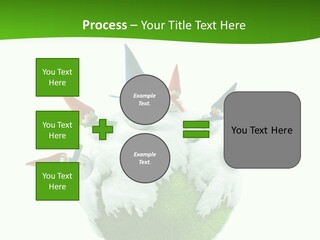 Man Handsome Costume PowerPoint Template