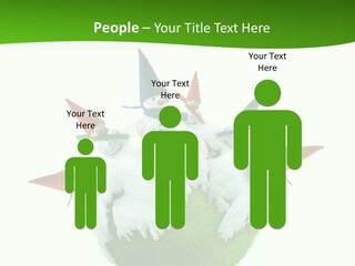 Man Handsome Costume PowerPoint Template