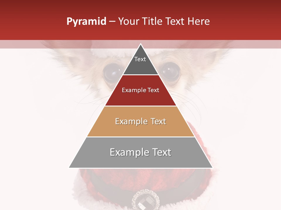 Masquerade Claus Navidad PowerPoint Template