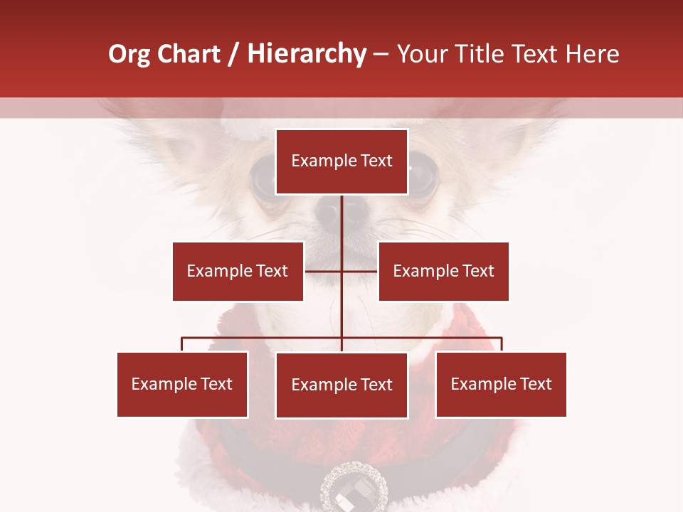 Masquerade Claus Navidad PowerPoint Template