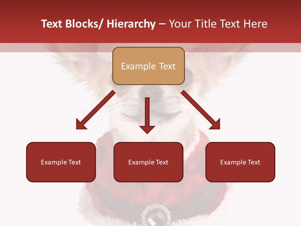 Masquerade Claus Navidad PowerPoint Template