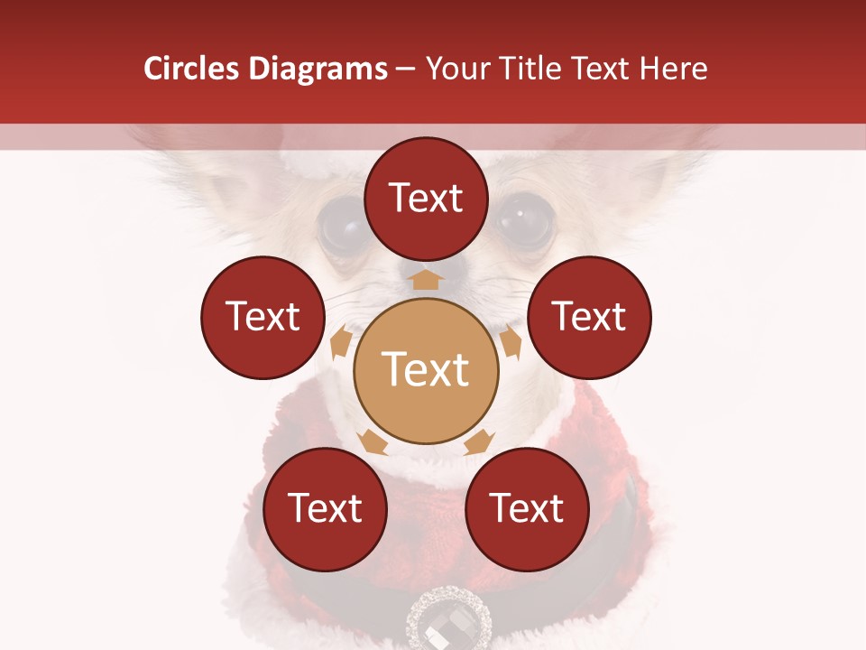 Masquerade Claus Navidad PowerPoint Template