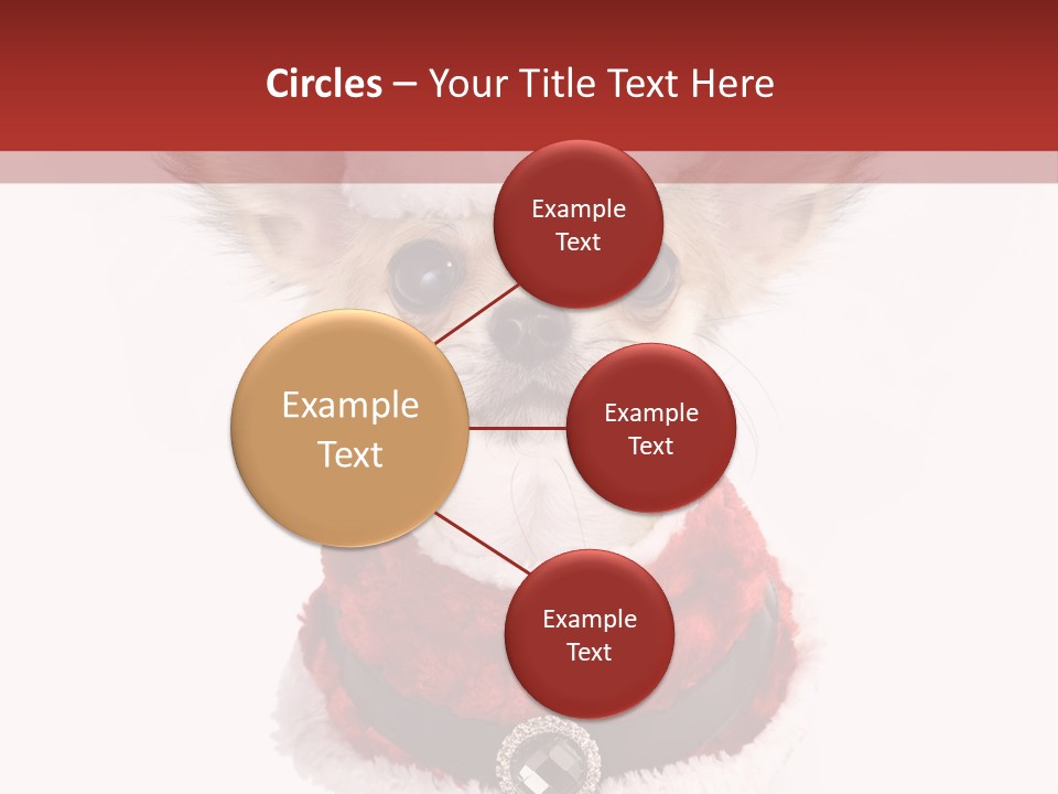 Masquerade Claus Navidad PowerPoint Template