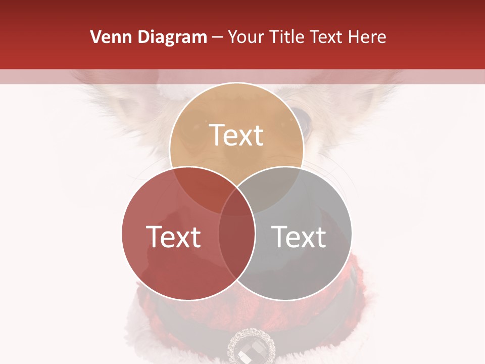 Masquerade Claus Navidad PowerPoint Template