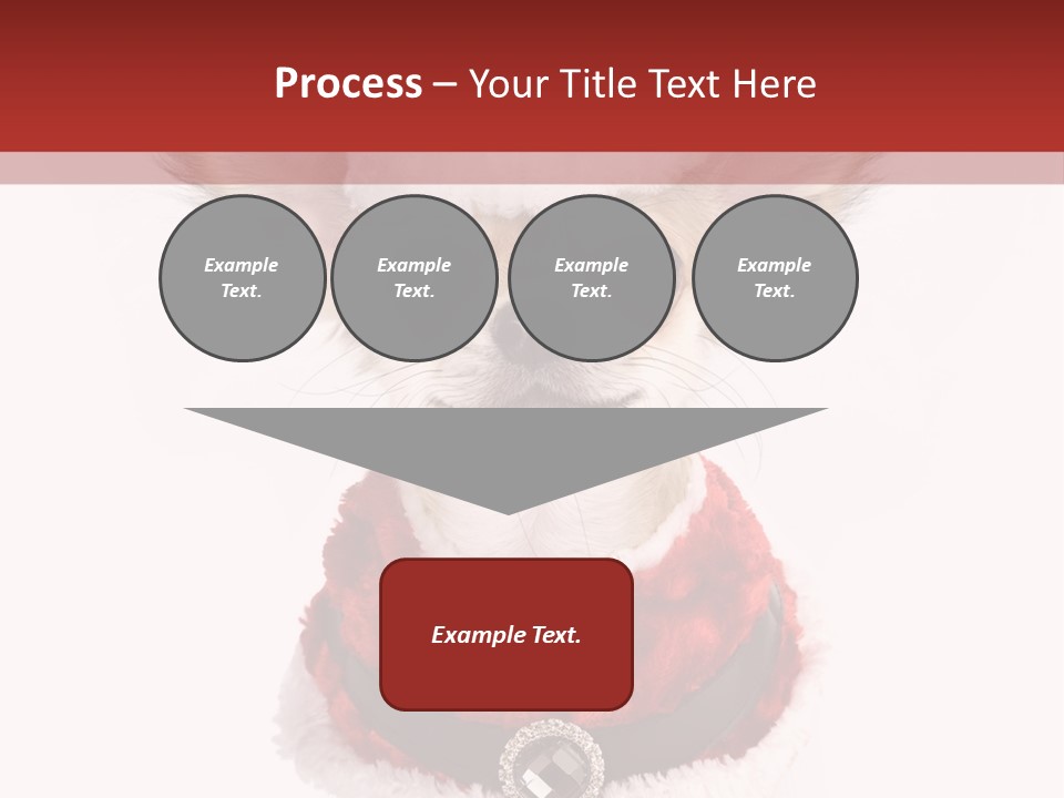 Masquerade Claus Navidad PowerPoint Template