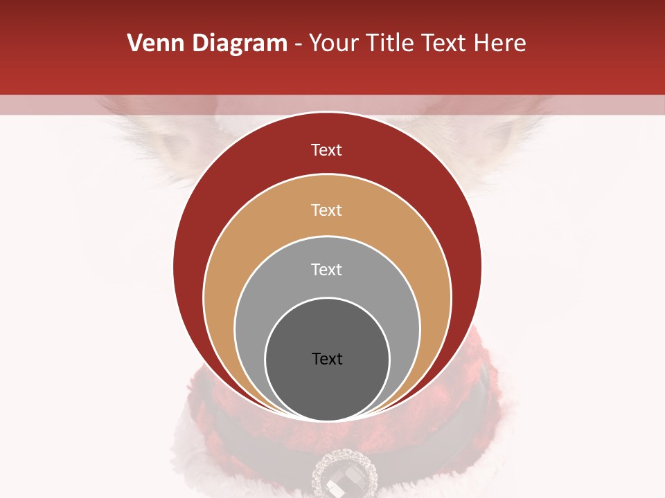 Masquerade Claus Navidad PowerPoint Template