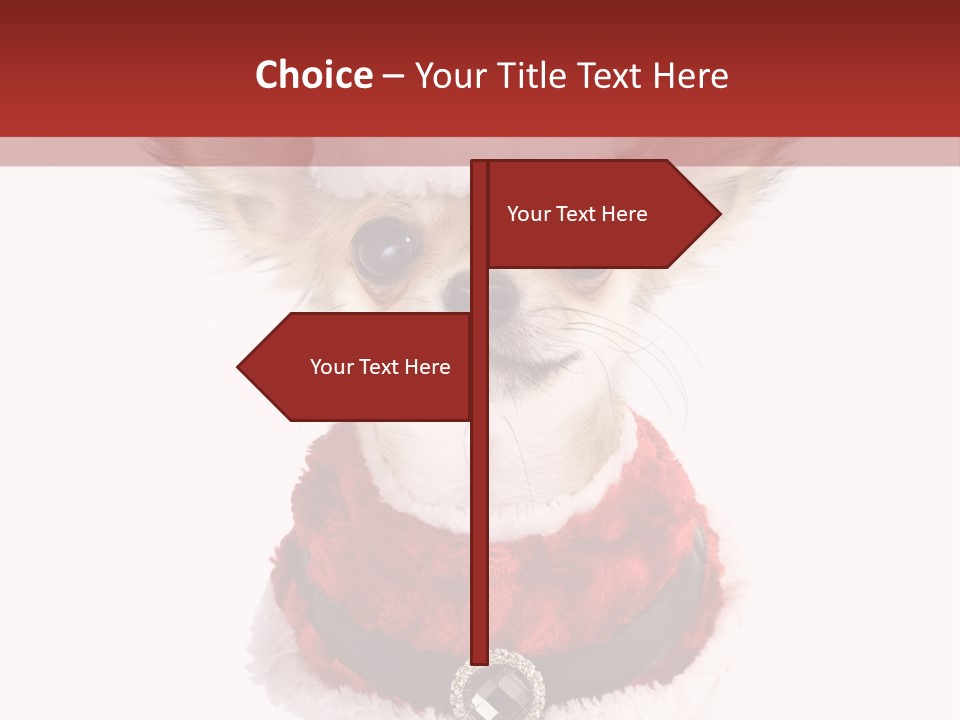 Masquerade Claus Navidad PowerPoint Template