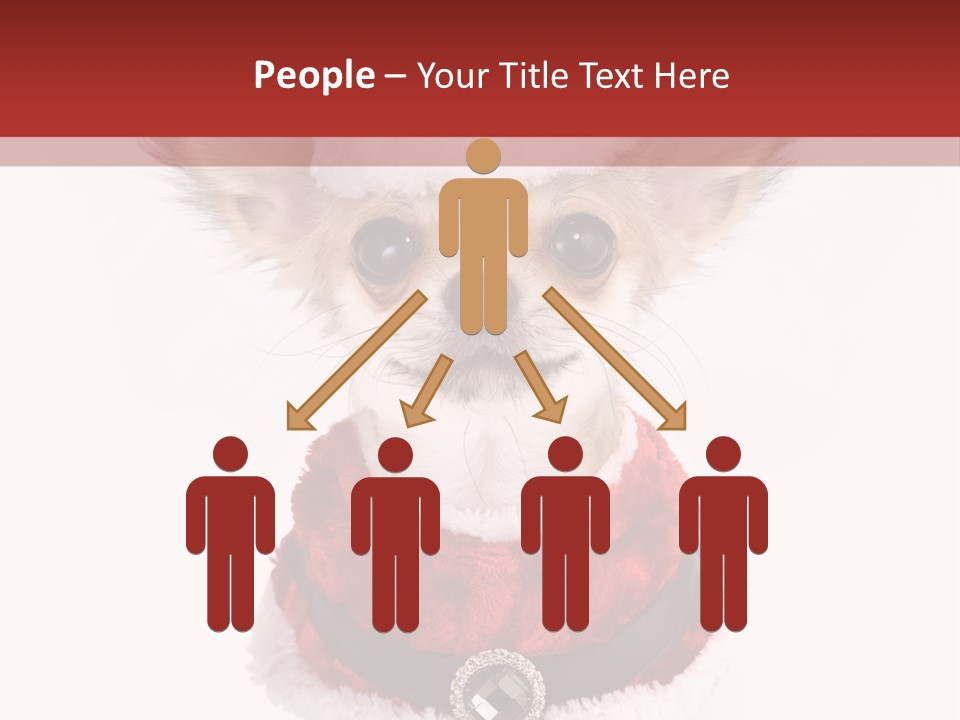 Masquerade Claus Navidad PowerPoint Template